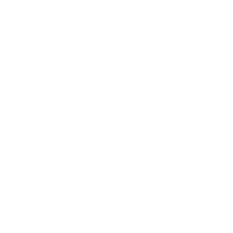 Secureimg